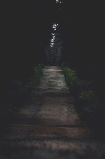 黑暗中延伸的神秘小路