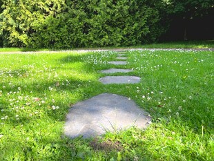 草地中的石板小径