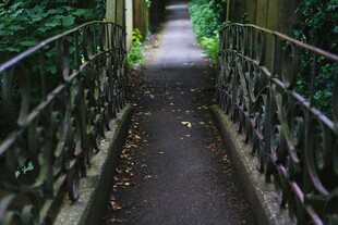 幽径通深处的静谧小道