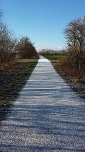 乡间小路延伸向远方