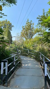 林间步道 清新自然景致