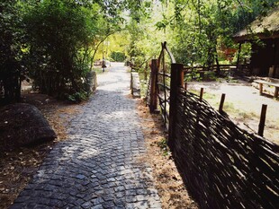 林间石径旁的古朴围栏