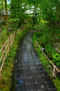 林间石板小径 绿意盎然