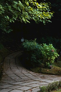 林间蜿蜒石板小径