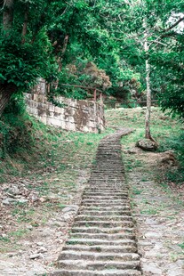 林间石阶小道