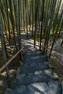 竹林中的石板小径