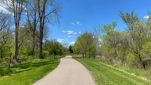 林间小路的清新自然景致