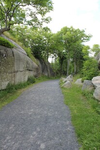 林间石径绿意盎然