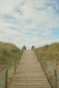 漫步木栈道 邂逅自然美景