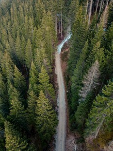 林间蜿蜒公路俯瞰美景
