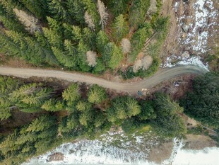 空中俯瞰林间蜿蜒小路