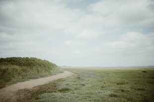 乡间小路延伸于绿野之上