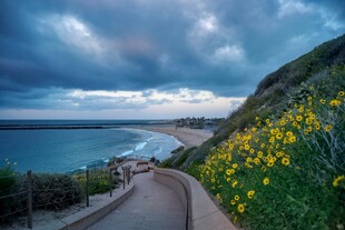 海边花径美景
