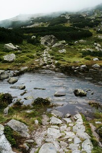 山间溪流旁的石板小径