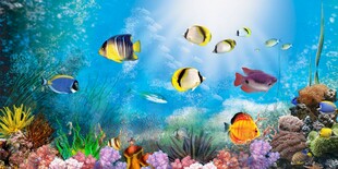 海底世界