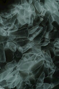 褶皱的透明塑料袋