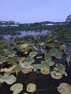 管社山庄