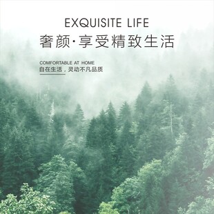 享受精致生活的静谧森林
