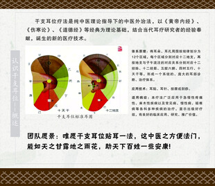 耳位标准耳图
