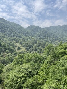 青山绿野间的自然美景