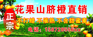 脐橙
