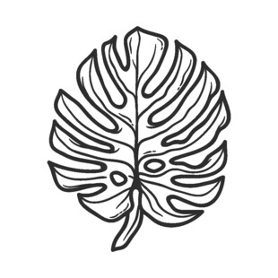 简约龟背竹叶线条图案