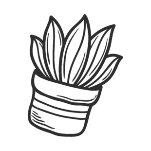 手绘简约风盆栽植物