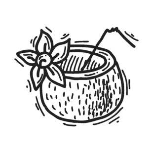 手绘椰子饮品插画