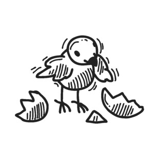 破壳而出的小鸡