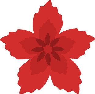 红色六瓣花朵图案