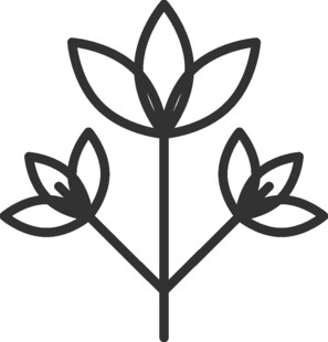 简约线条莲花图案设计