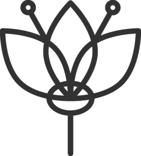 简约线条莲花图案设计