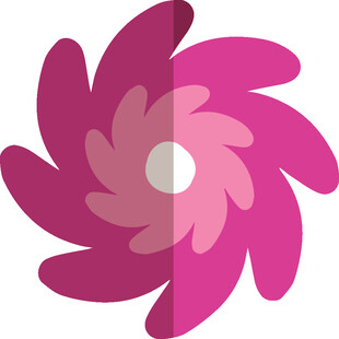 粉色旋涡花朵图标