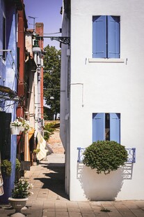 狭窄小巷中的清新景致