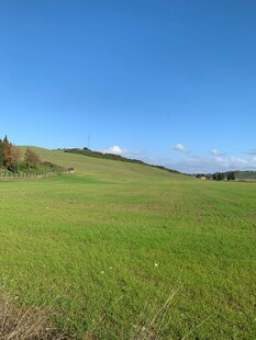广袤绿野蓝天美景