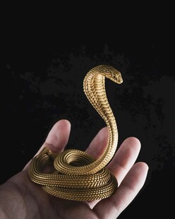 手中盘绕的金色眼镜蛇