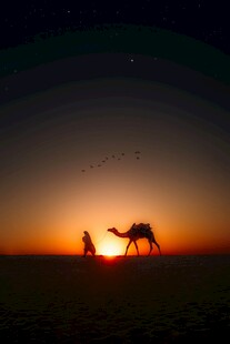 沙漠夕阳下的人与骆驼