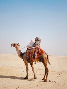 沙漠中驮着货物的骆驼