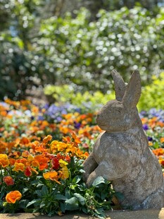 花园中的兔子雕塑
