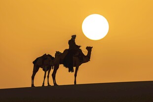 沙漠夕阳下的驼队剪影
