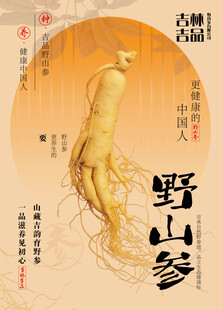人参海报
