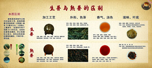 普洱的区别