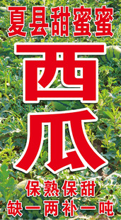 甜蜜蜜西瓜