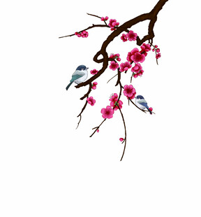 枝头绽红梅双鸟栖枝间