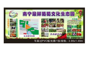 生态园 葡萄园 休闲农场