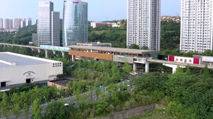 城市景观中的建筑与绿植
