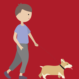 男孩牵柯基散步