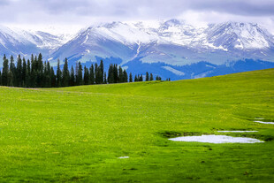 草原雪山美景如画