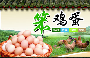 农家笨鸡蛋 新鲜营养美味