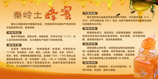 秦岭土蜂蜜